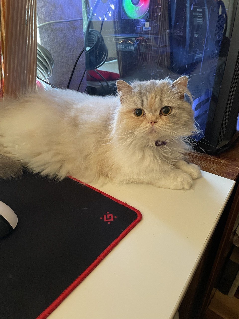 Андрей Юсупов