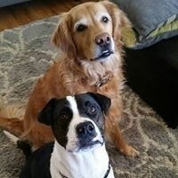 Nina Angela McKissock