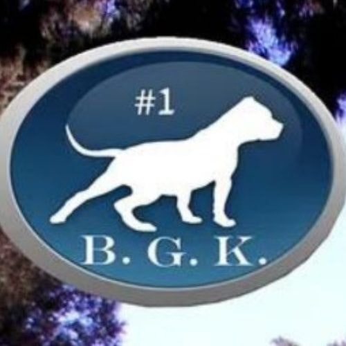 Big Gemini Kennels