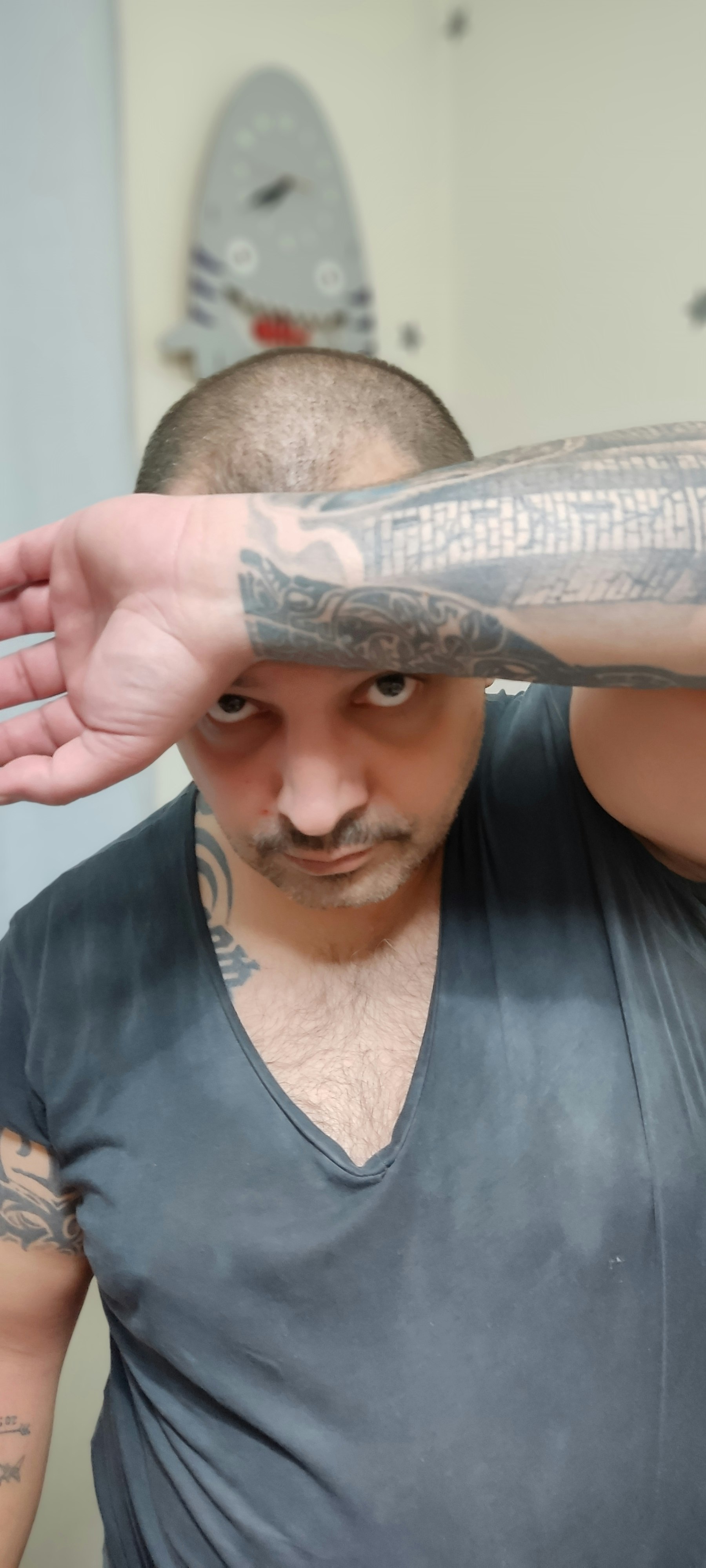 ashooka Mohamad Moslehee (آشوکا‎)