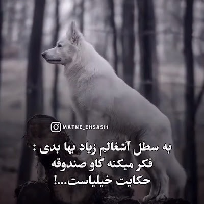 محمدحسین احمدی