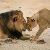 مروان عويدة