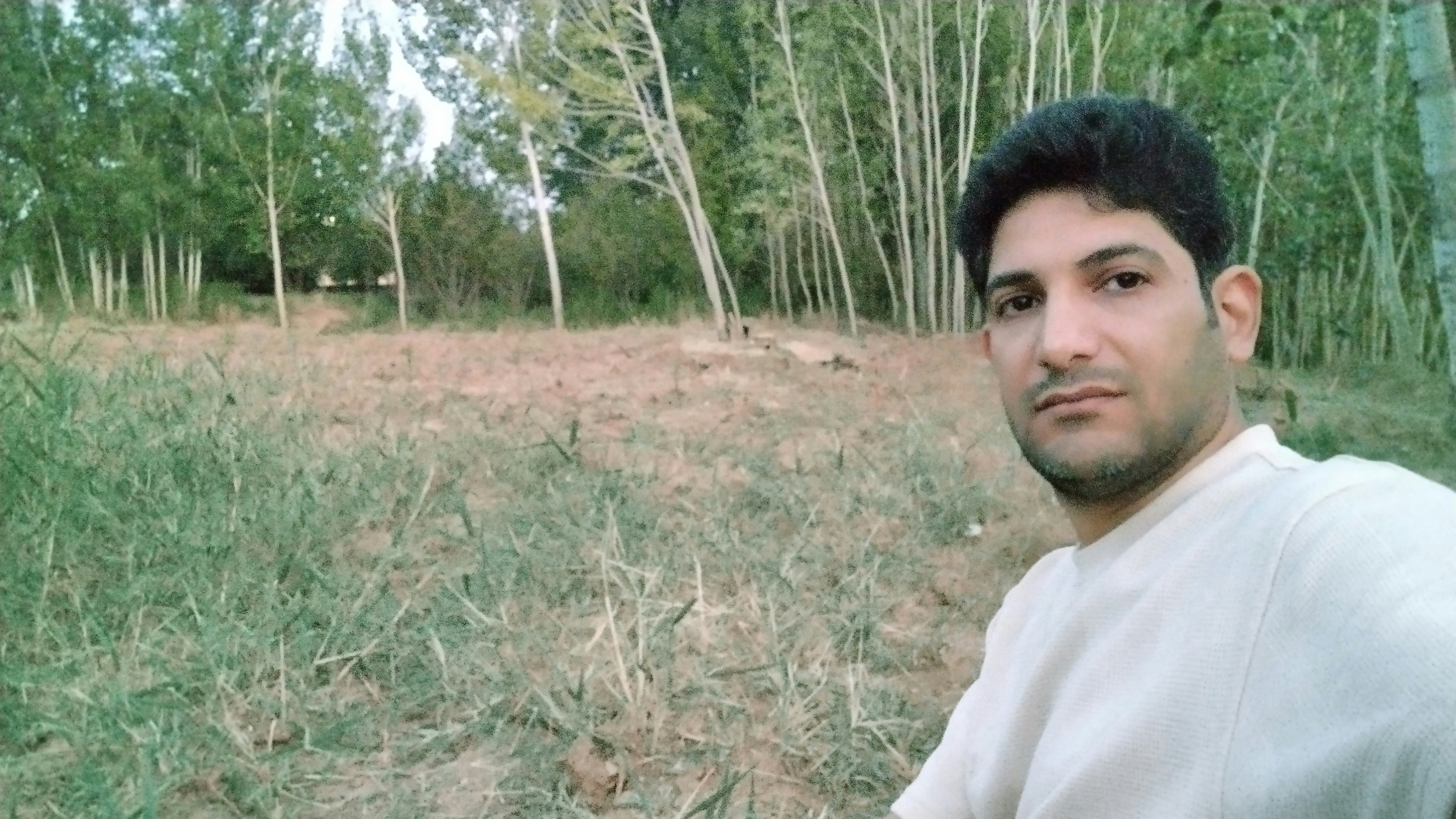 Mohsen Maddahi