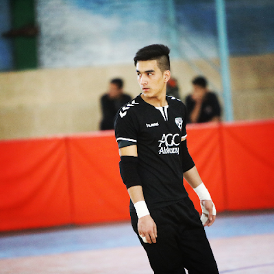 Reza Hosseini
