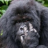 Pairatn Dhanapermpool