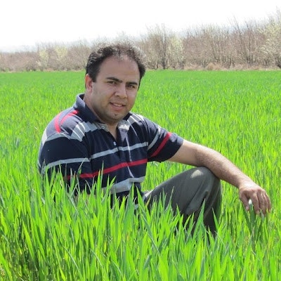 afshin ebadi