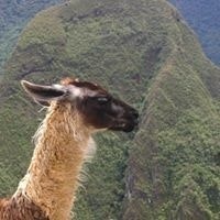 Oscar J. Bibblesworth