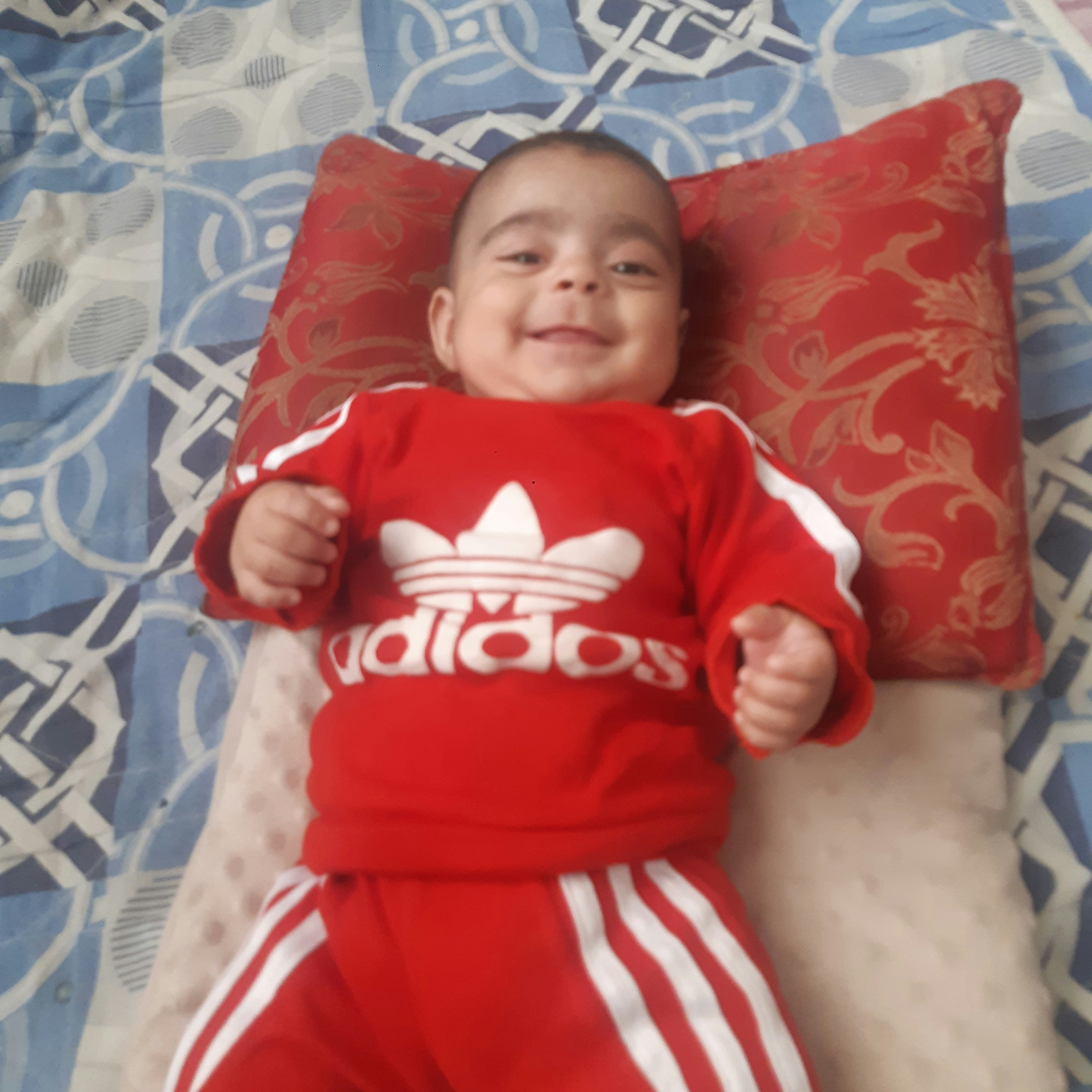 امیر لطفی