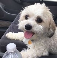 Stephanie Bunger-Norden