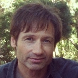 Hank Moody
