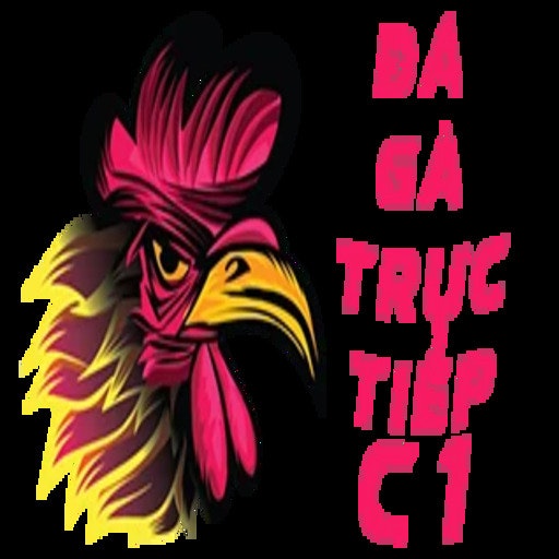 XEM ĐÁ GÀ TRỰC TIẾP C1 CHẤT LƯỢNG CAO CÓ