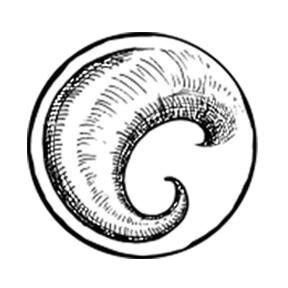 CapeHornIllustration