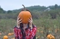 Catherine Dammer-Jones