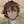 Kyouma Kazuhito