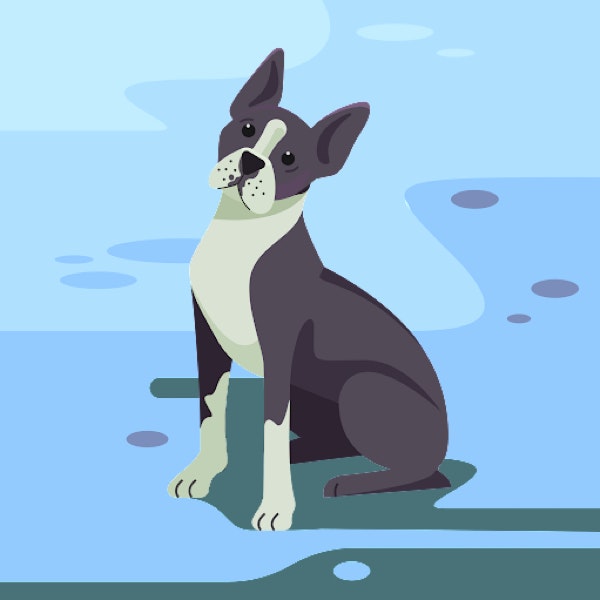 michael “Mickycity” ketema