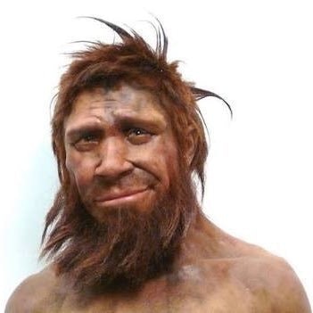 Homo Erectus