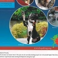 Marianne Cunha Overton