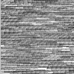 Александр Терехов