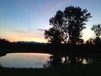 Dawnmarie Eckenrode Black