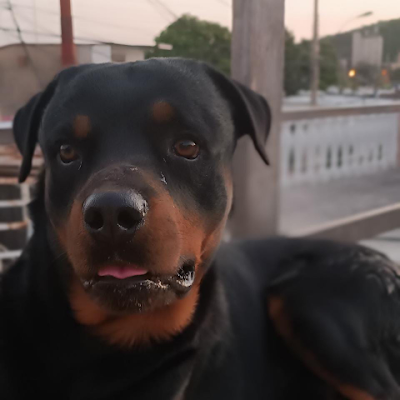 Sebastián Figueredo