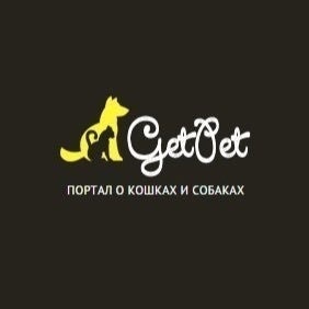 Про собак и кошек