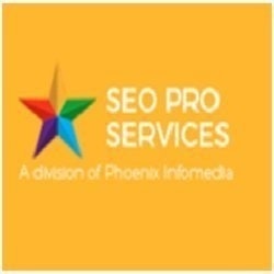 Check SEO Reports