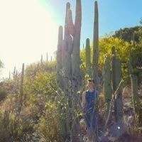 Coelha Sandra Stephanie