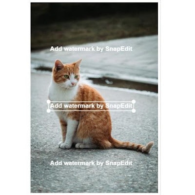 Chèn logo vào ảnh