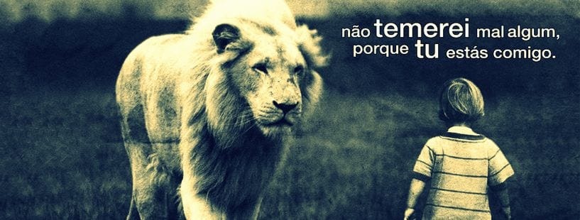 Afonso Rebelo de Castro