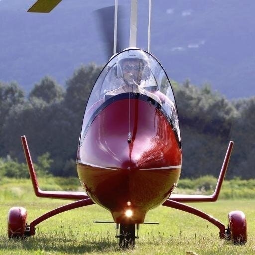 GianlucaBelardinelli