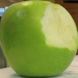 Abrahm Barrera Curin