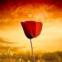 Manuel Sagredo Navarro