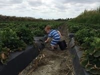 Rachel Daniels Gruber