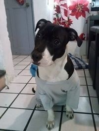 Alicia Beltrán de López