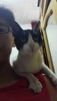 Jandre Ramírez Riveros