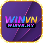 Winvn my