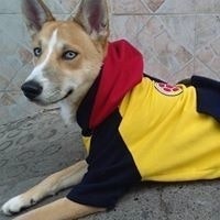 German Dario Cardona Tobon