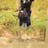 Devi Sudip