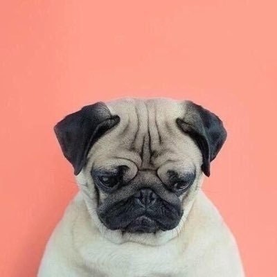 CepiJim Morisson 