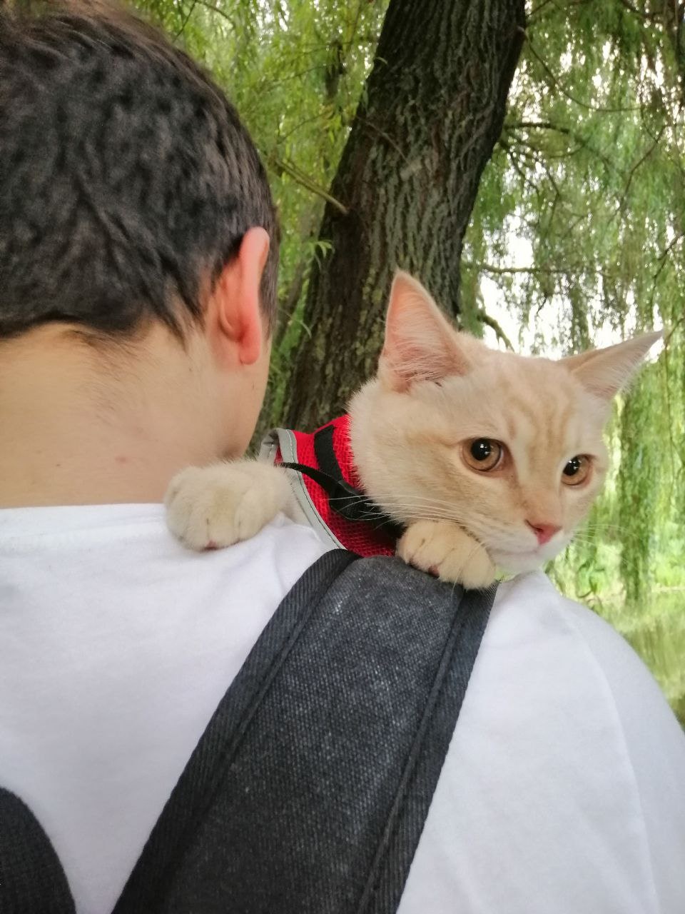 Дмитро Барич