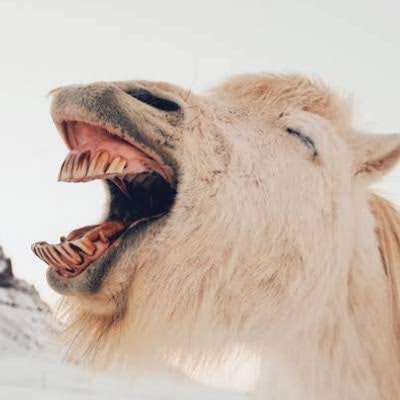 ProductHunt profile picture for @momma
