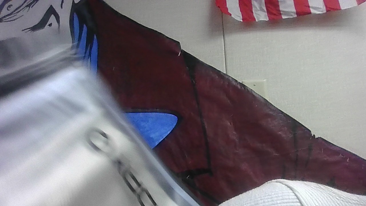 Janelie Romo Carrion [STUDENT]