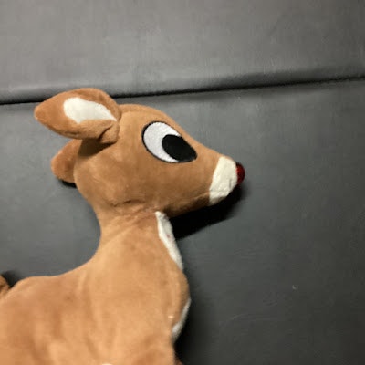 koesters.lisa@hotmail.com