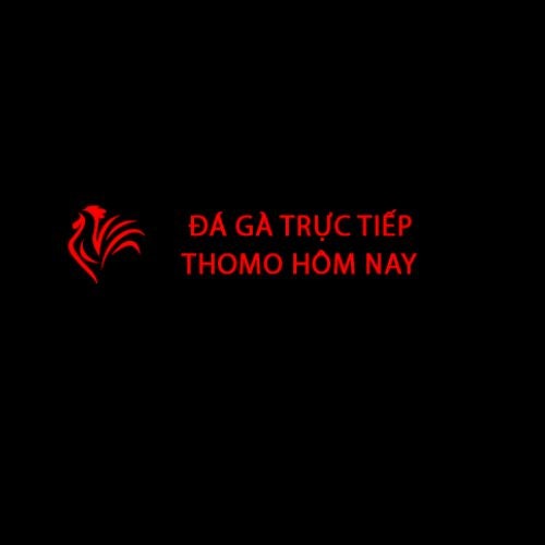 Thomo hôm nay Đá gà trực tiếp