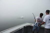 Lyle McCutcheon-Schour