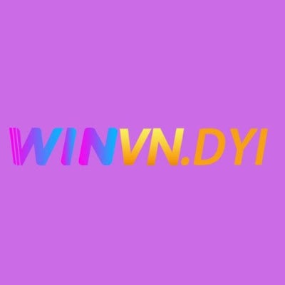 winvn diy
