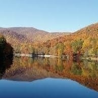 Userone Mediarebirth