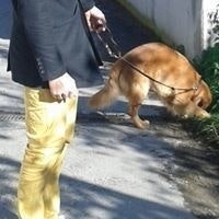 Emanuele Umberto Ferretti