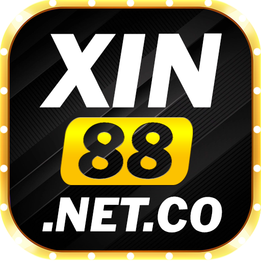 xin88 netco
