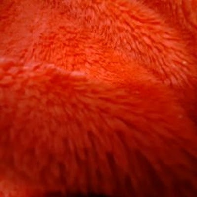 khamurunnisa mohammed